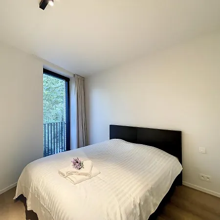 Newly Built Luxurious Near The Apartment